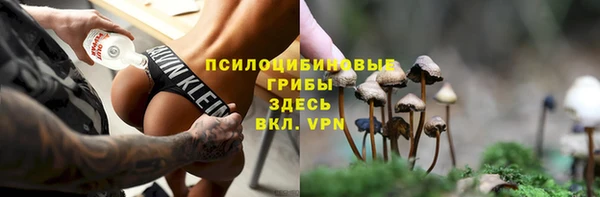 ешки Осинники