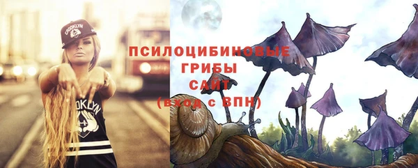 дурь Среднеколымск